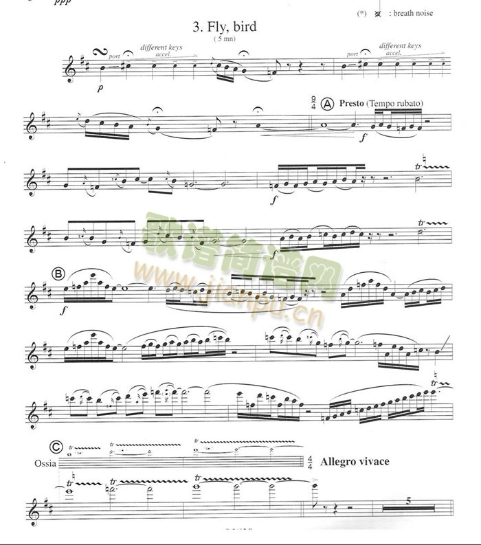 须川展也的《Fuzzy Bird Sonata》(Fly, Bird)毛绒鸟奏鸣曲三1