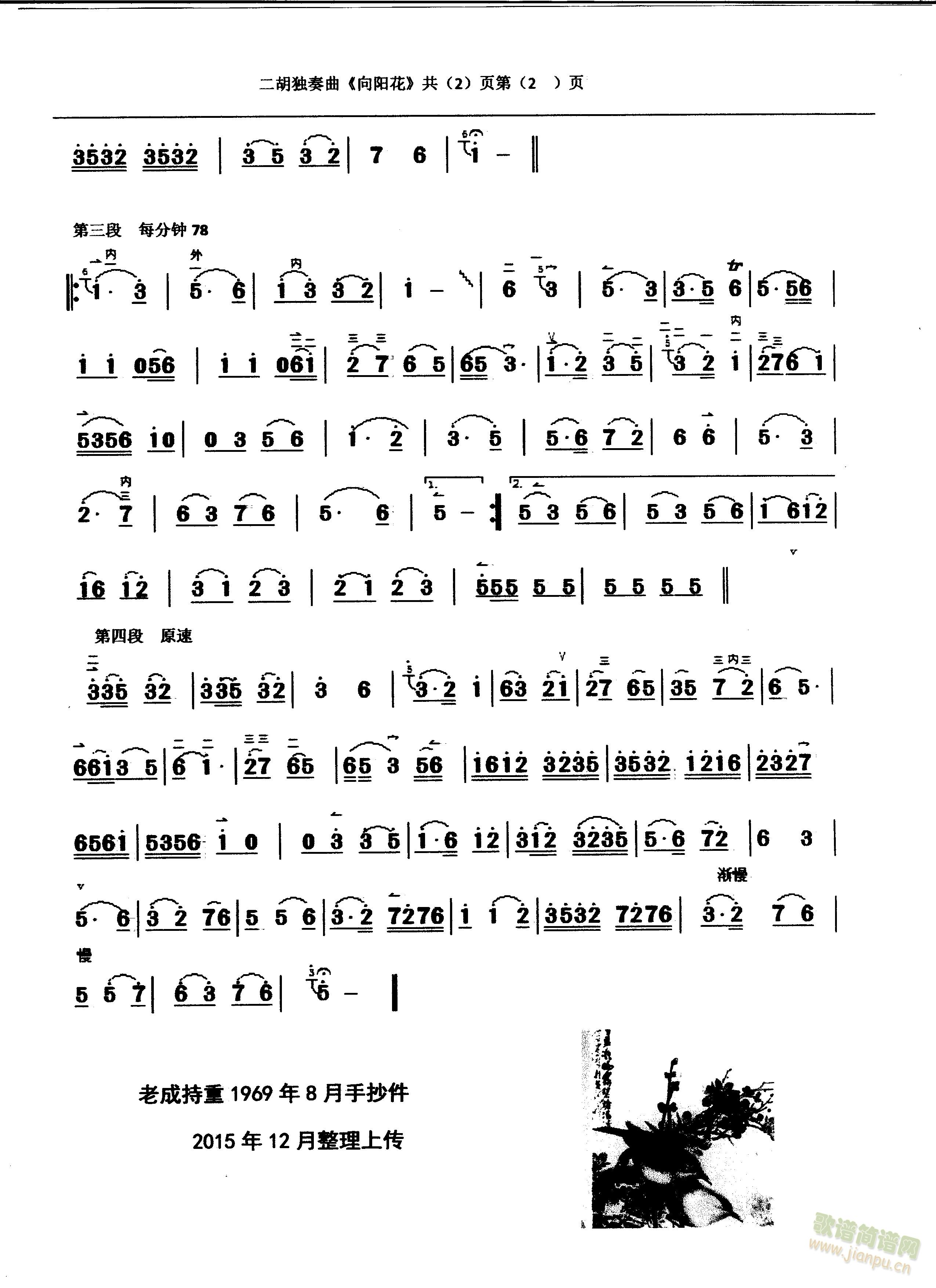 向阳花2