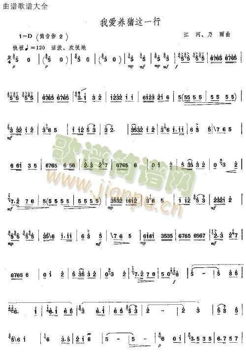 我爱养猪这一行1