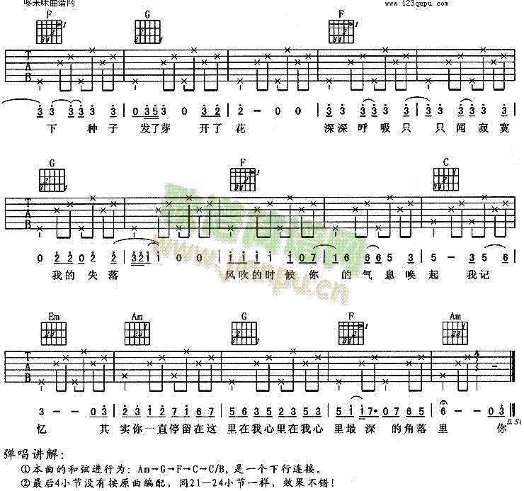 种子(羽泉)3