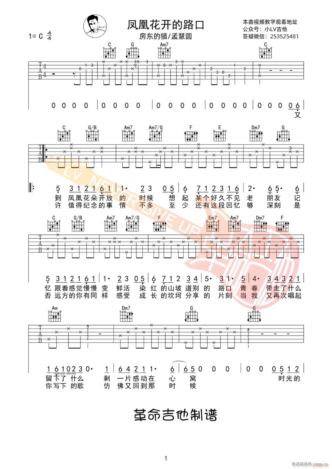 凤凰花开的路口 ( 孟慧圆 C调)_房东的猫1