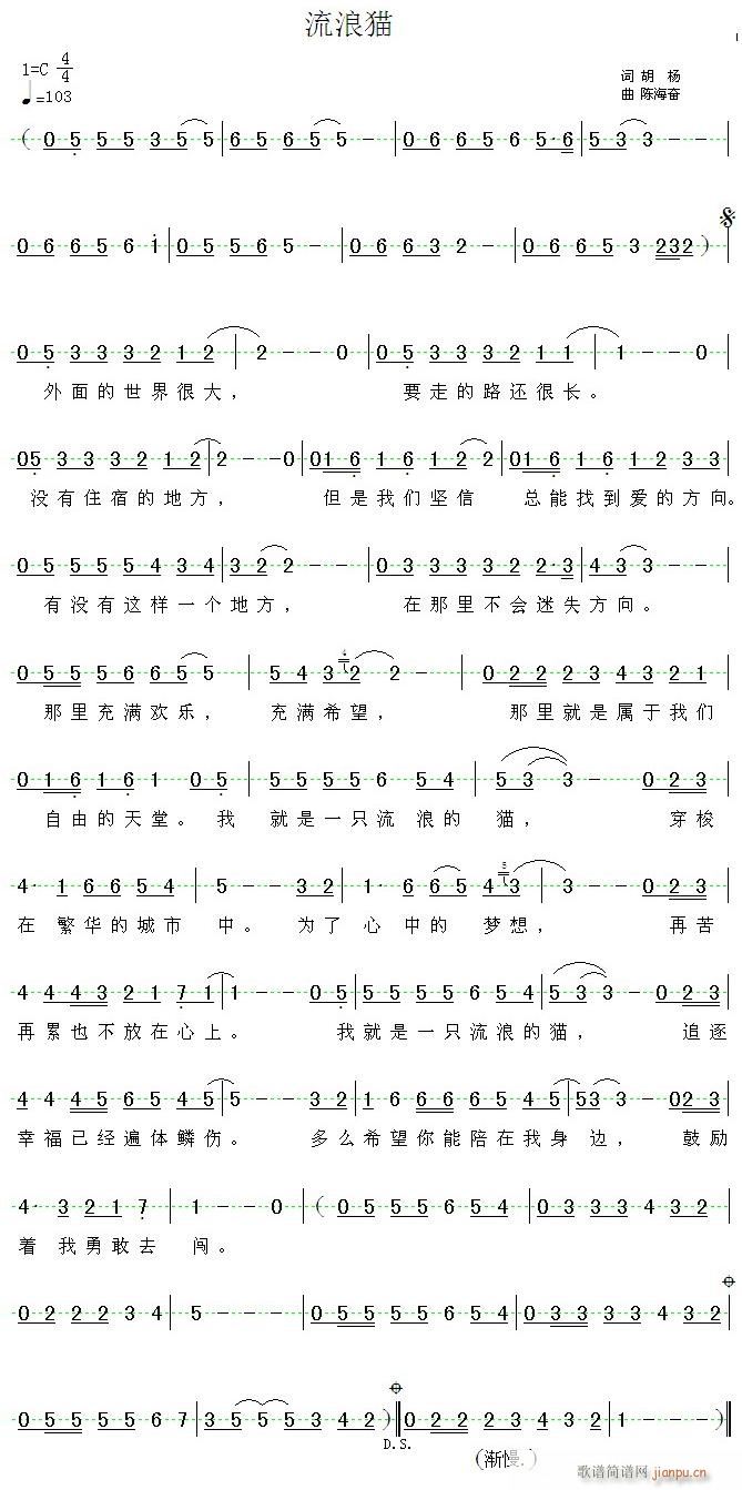 《流浪猫》（钢琴演奏版）1