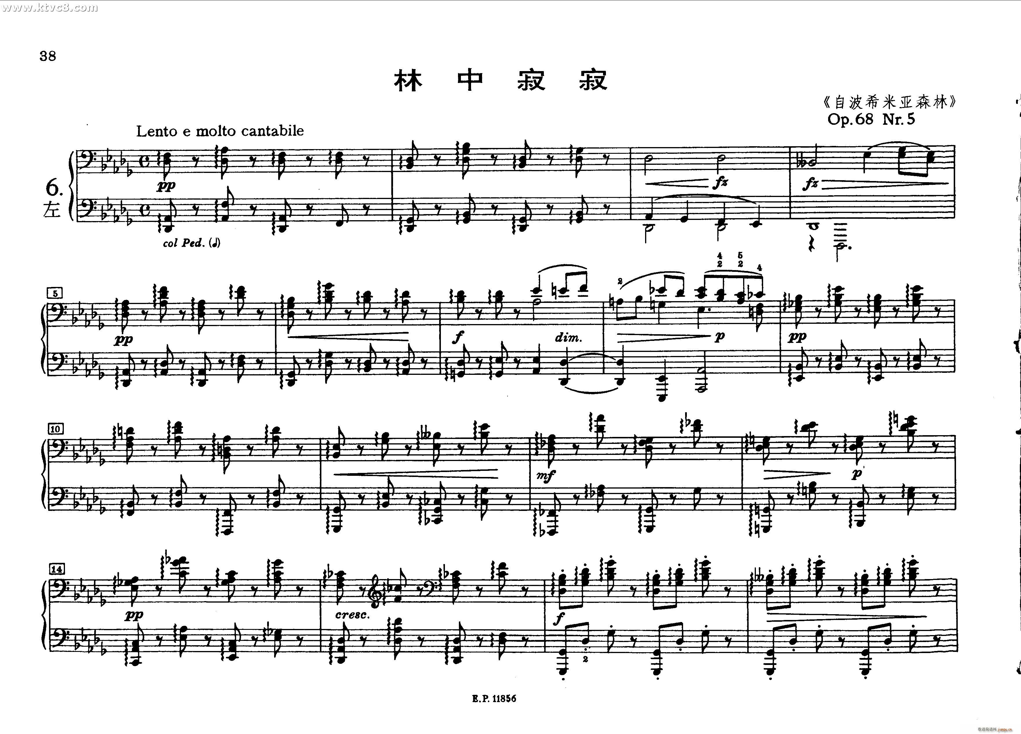 德沃夏克钢琴二重奏曲集 林中寂寂1