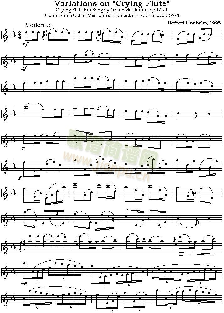 crying flute 笛萧谱1