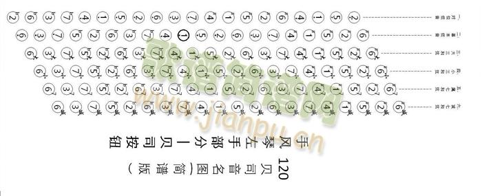 手风琴 120贝司音名图1
