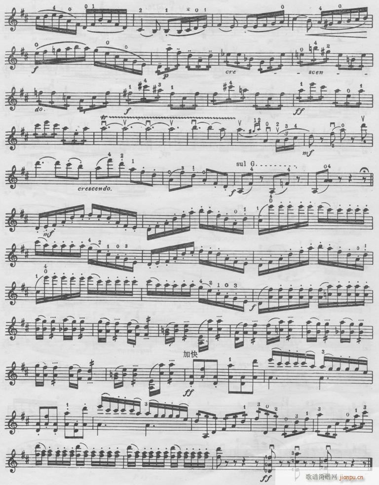 塞茨D大调学生协奏曲五 提琴6
