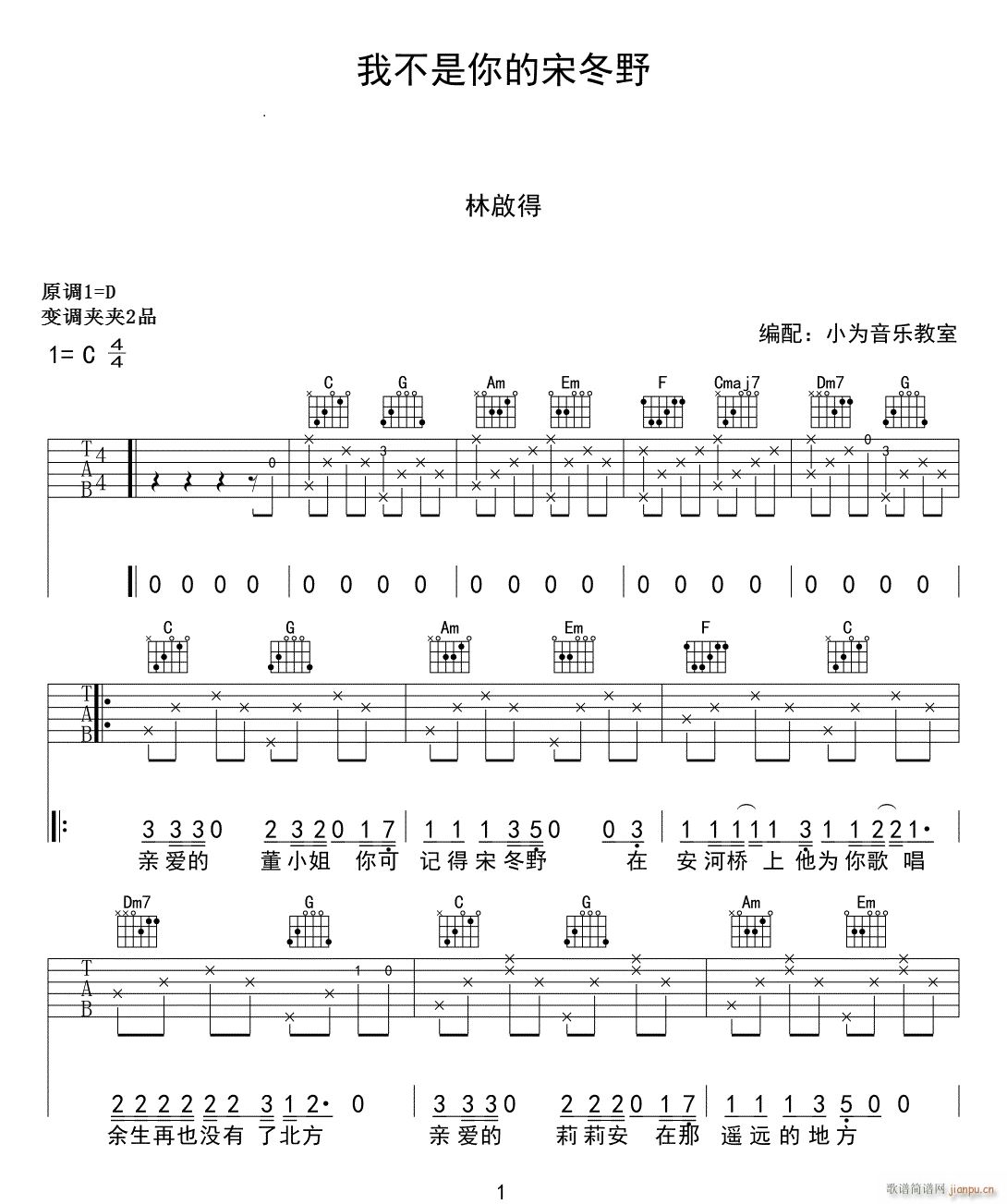 我不是你的宋冬野 ( C调原版)_林启得1