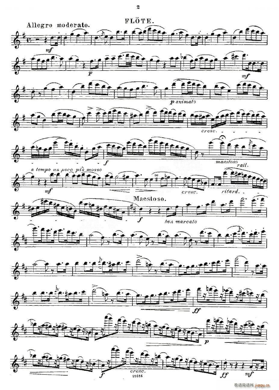 Opern Transcriptionen Op 45 2 笛萧谱2