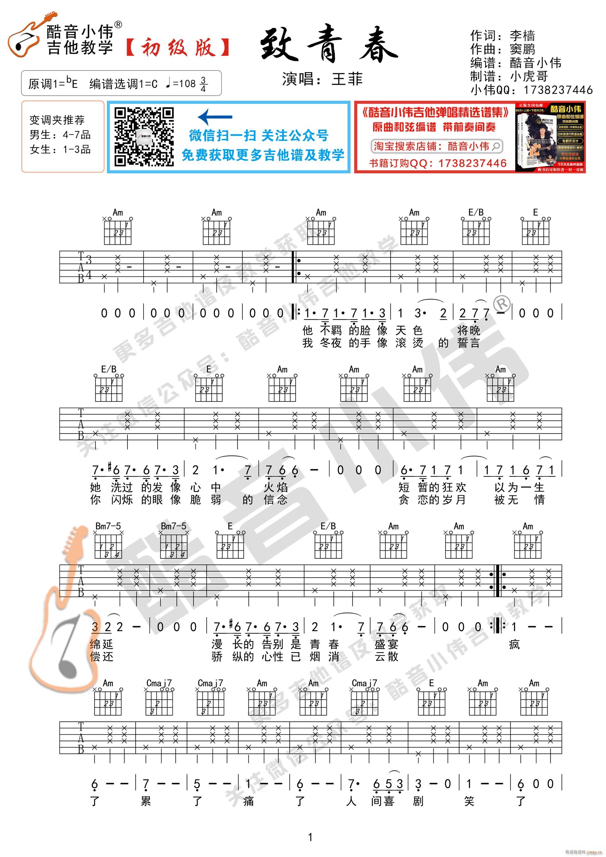 《致青春》 初级版 吉他弹唱教学_王菲1