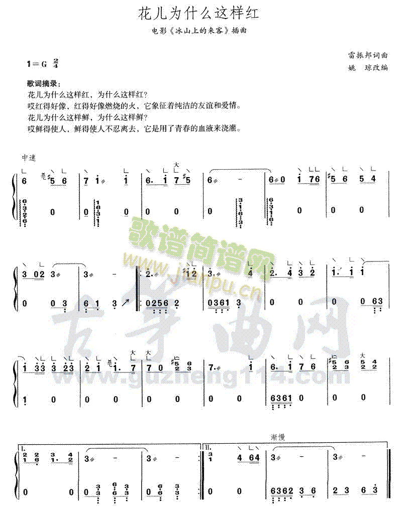 花儿为什么这样红1