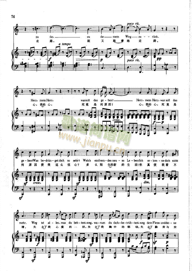 新的爱情，新的生活(钢伴) 歌曲类 钢琴伴奏谱3
