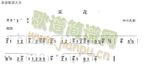 采花1