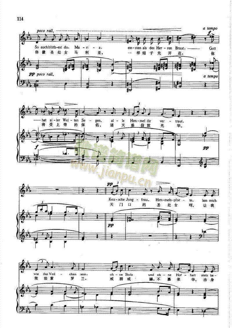 紫罗兰(钢伴) 歌曲类 钢琴伴奏谱3