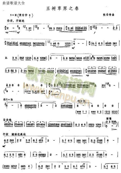 玉树草原之春1