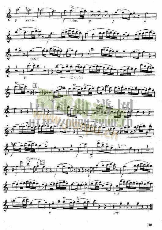 莫扎特C大调长笛协奏曲(Morzat C Major Concerto)5