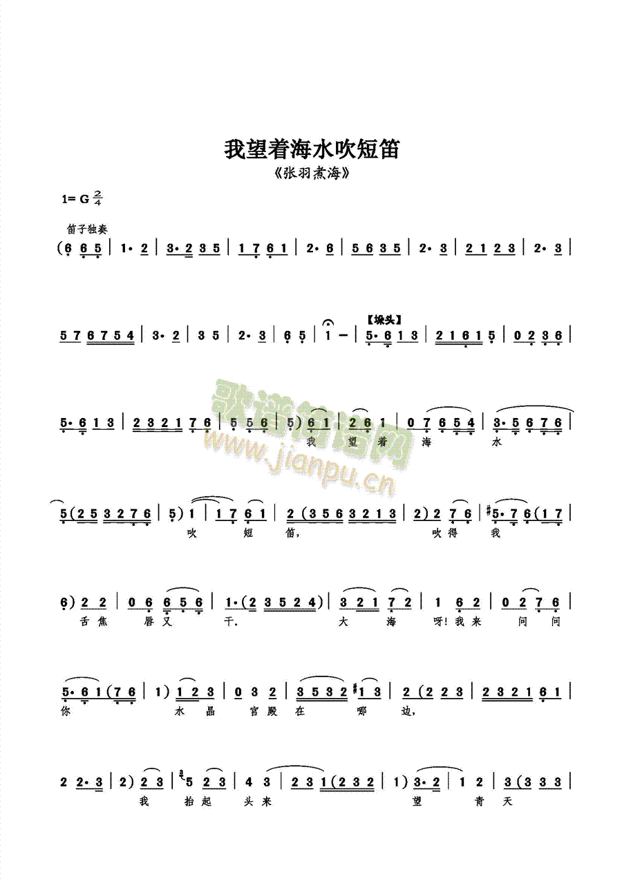 我望着海水吹短笛1