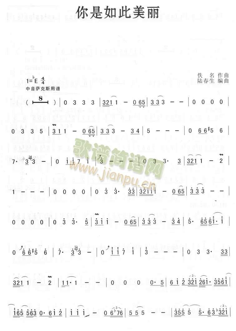 你是如此美丽1