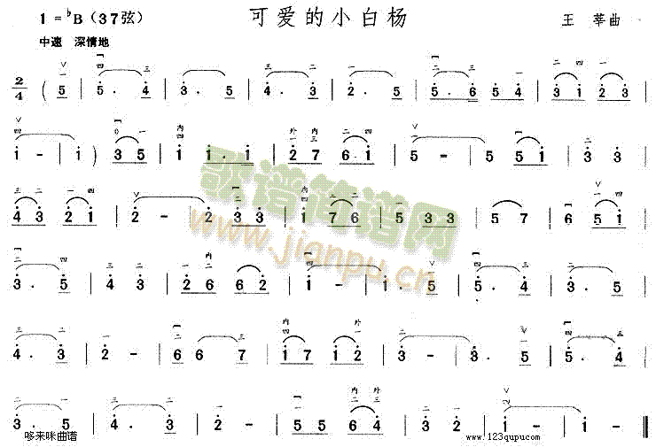可爱的小白杨1