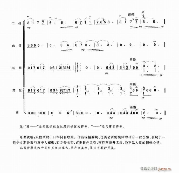 宵待草7