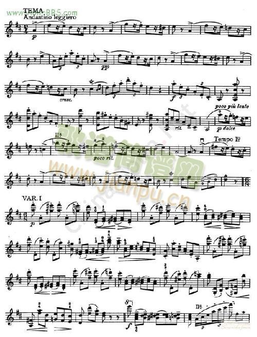 克莱斯勒-帕克尼尼《女巫之舞》(Le streghe)Op.82