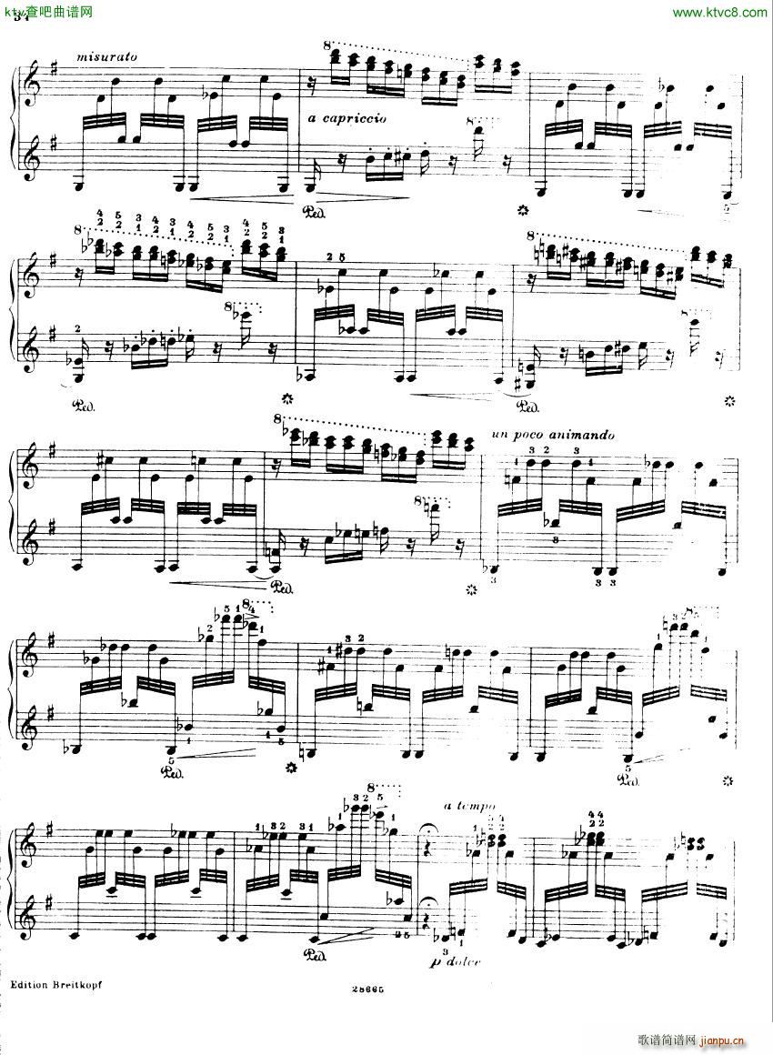 Busoni Etudes 216