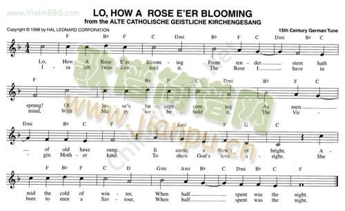 111.LO,HOW A ROSE E`ER BLOOMING1