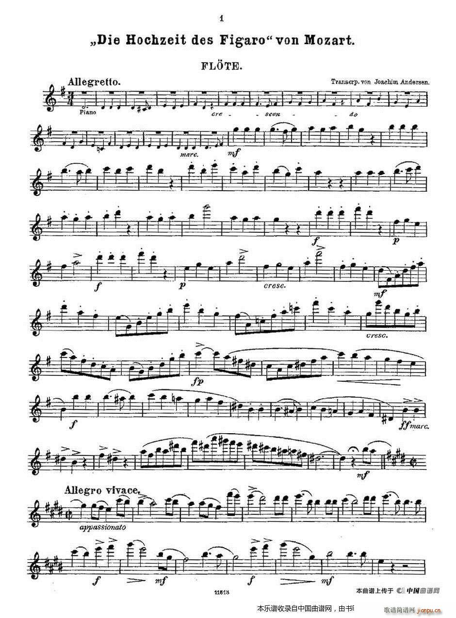 Opern-Transcriptionen Op 45-1 长笛谱2