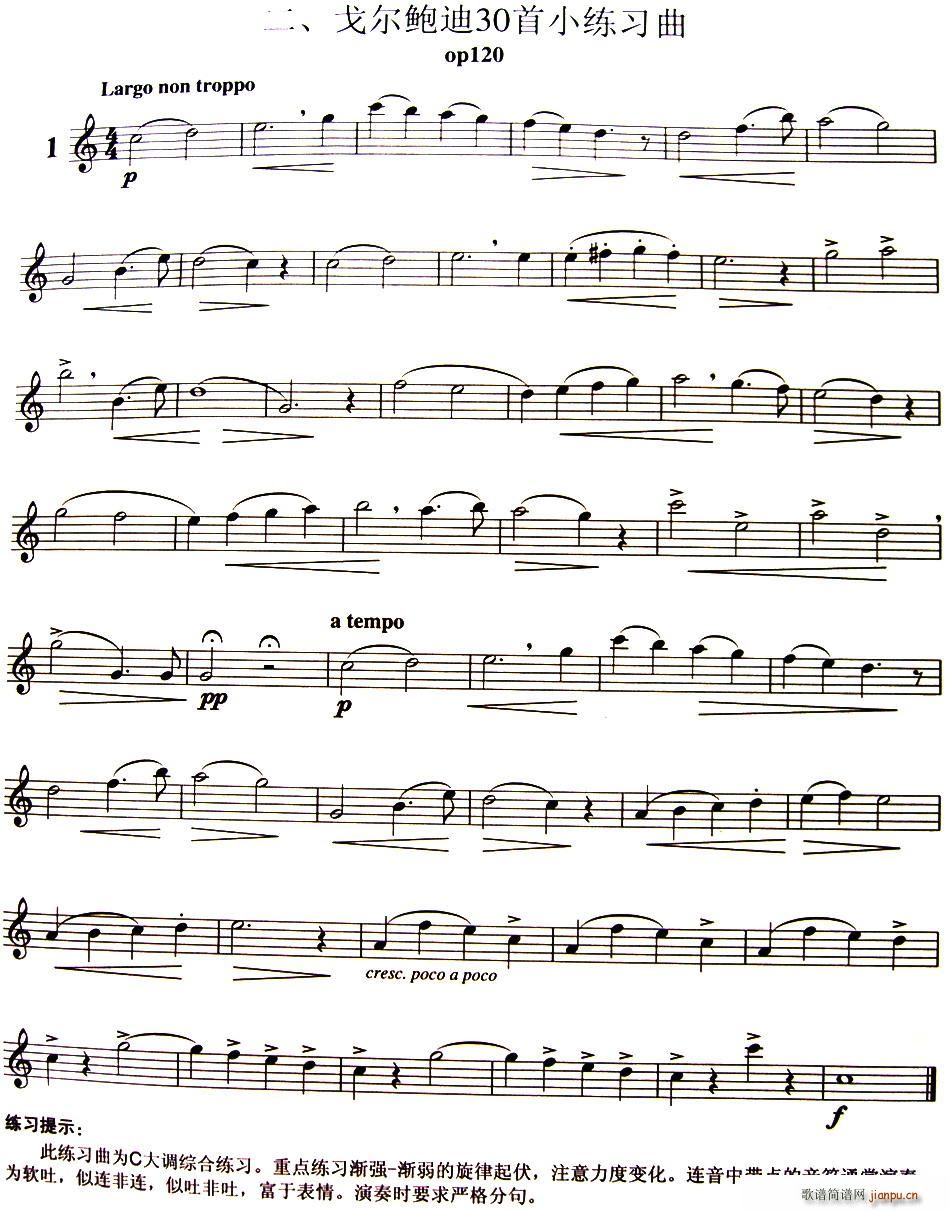 三十首小练习曲作品120号(NO 1) 长笛1