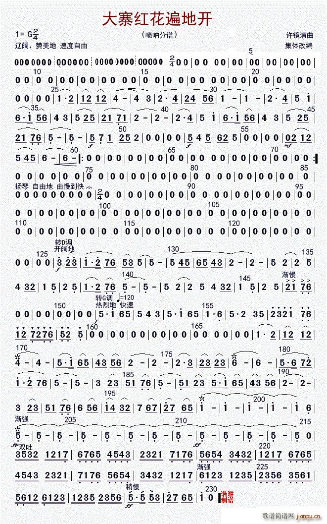 大寨红花遍地开（高音唢呐（修改版））1
