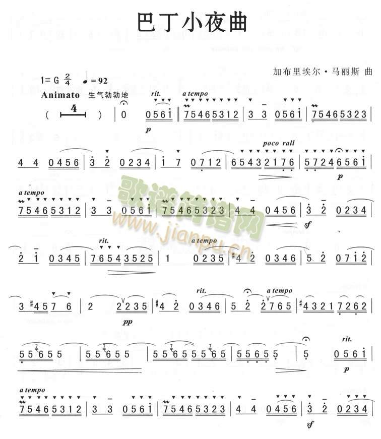 巴丁小夜曲1