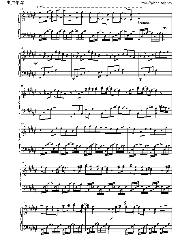 候鸟3