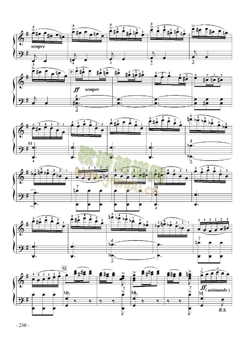 九级乐曲《E大调协奏曲》 键盘类 手风琴13