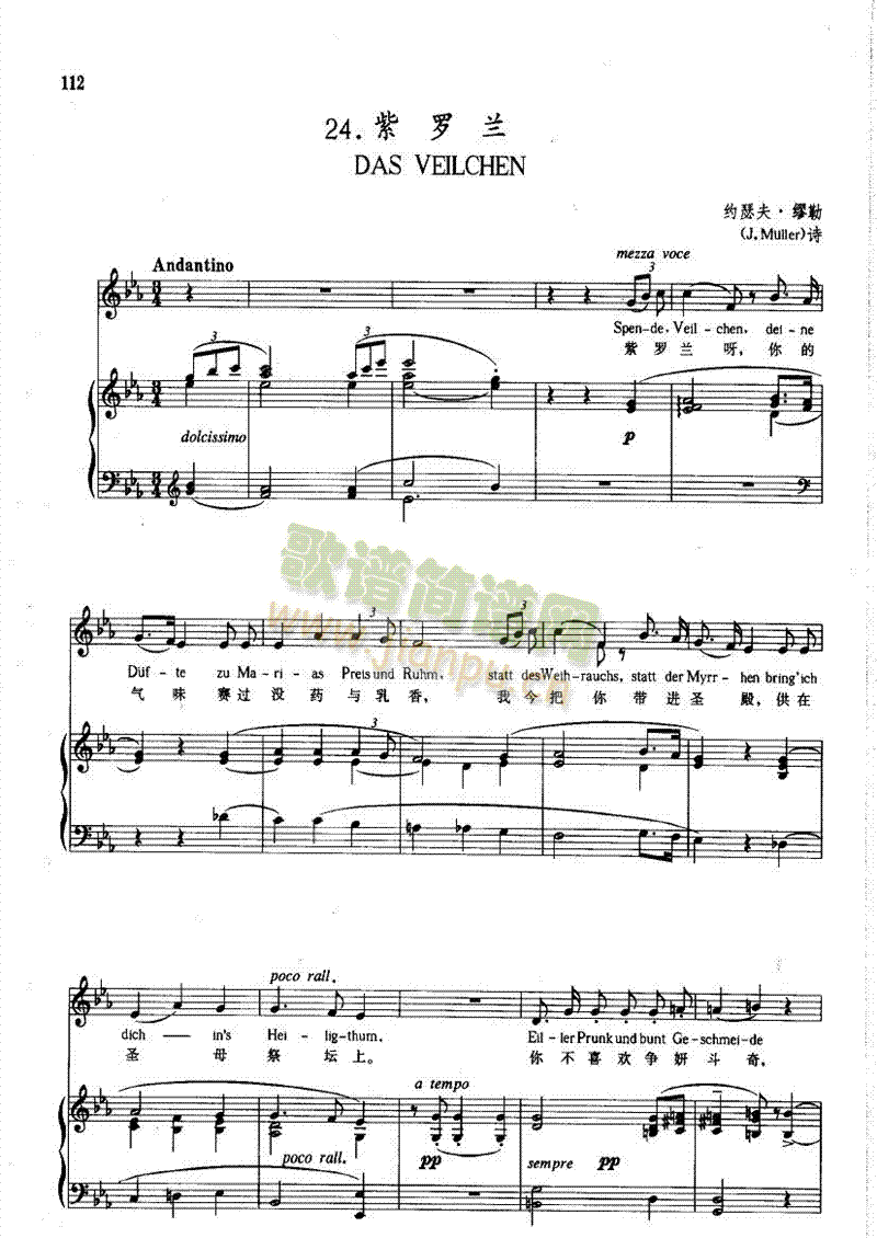 紫罗兰(钢伴) 歌曲类 钢琴伴奏谱1
