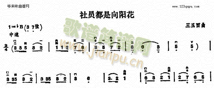 社员都是向阳花1