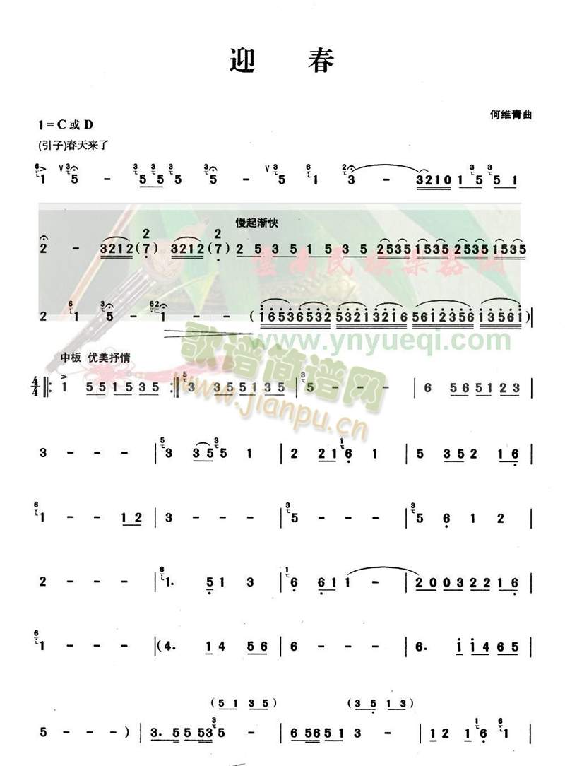 迎春1