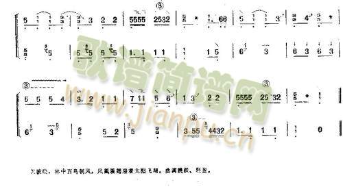 凤凰单展翅3