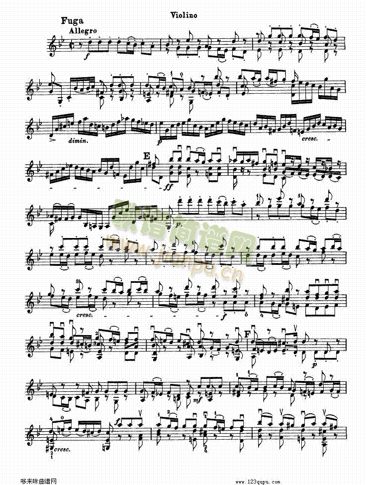 巴赫小提琴协奏曲12