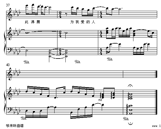 无条件为你-梁静茹5