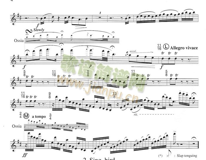 须川展也的《Fuzzy Bird Sonata》(Run, Bird)毛绒鸟奏鸣曲一4
