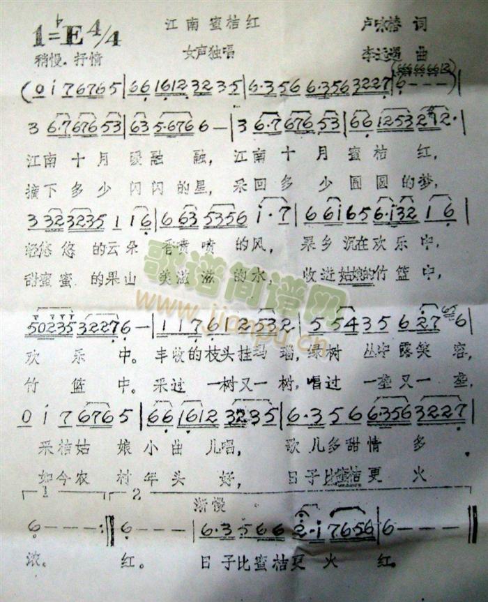 江南蜜桔红1