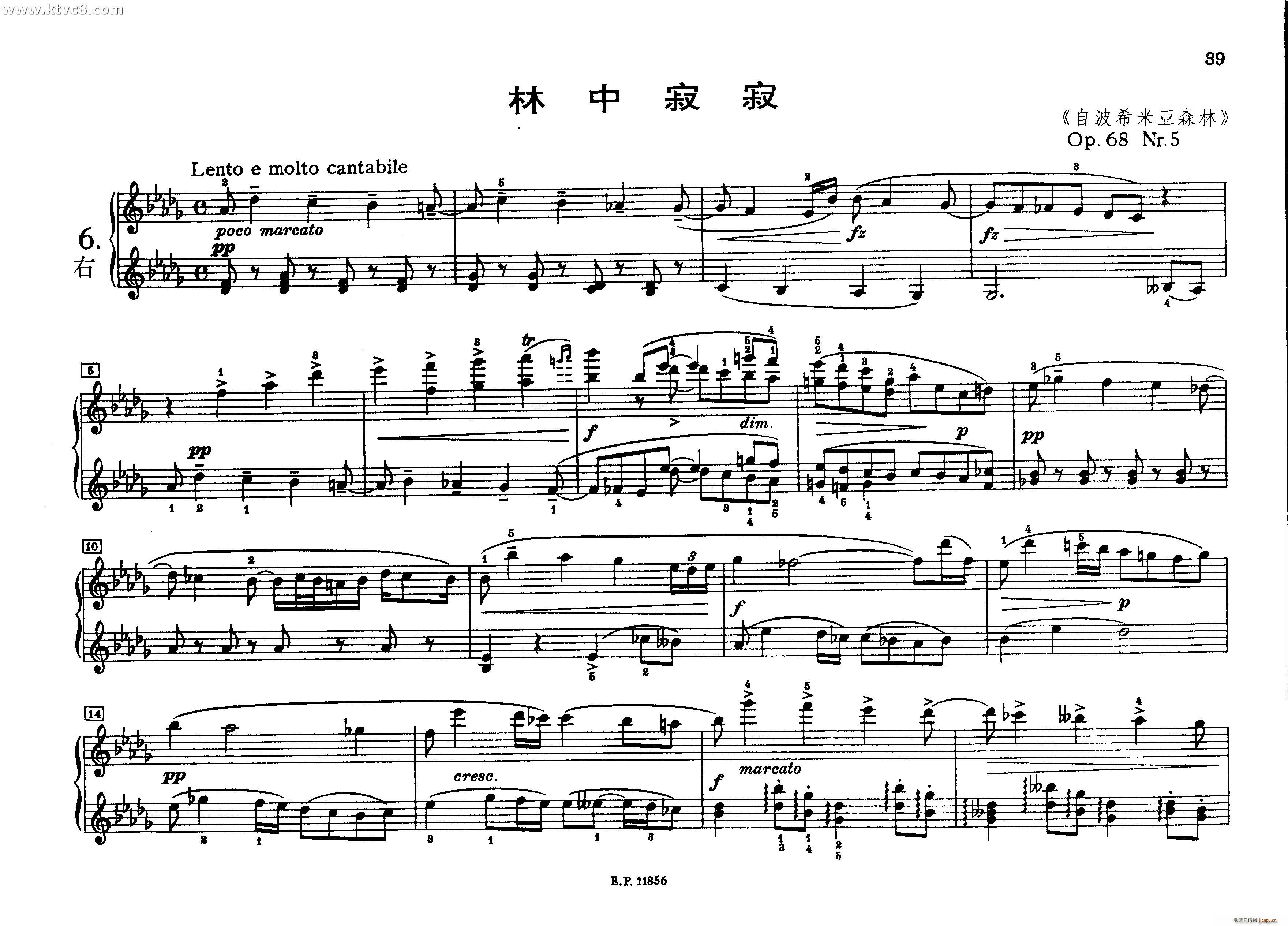 德沃夏克钢琴二重奏曲集 林中寂寂2