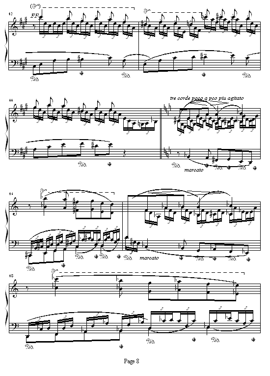 森林的呼啸8