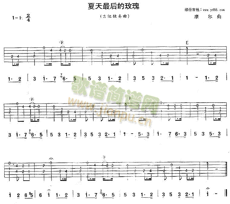 夏天最后的玫瑰1