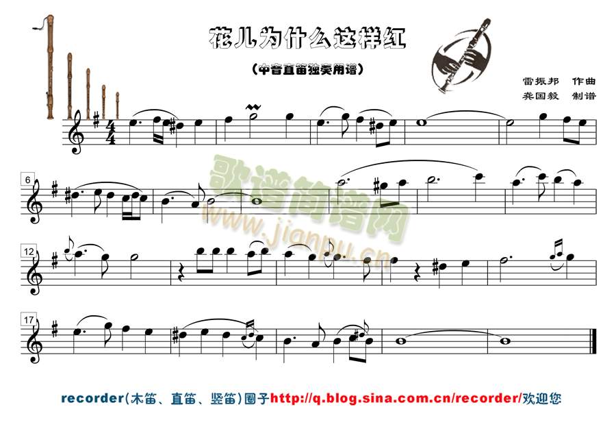 花儿为什么这样红1