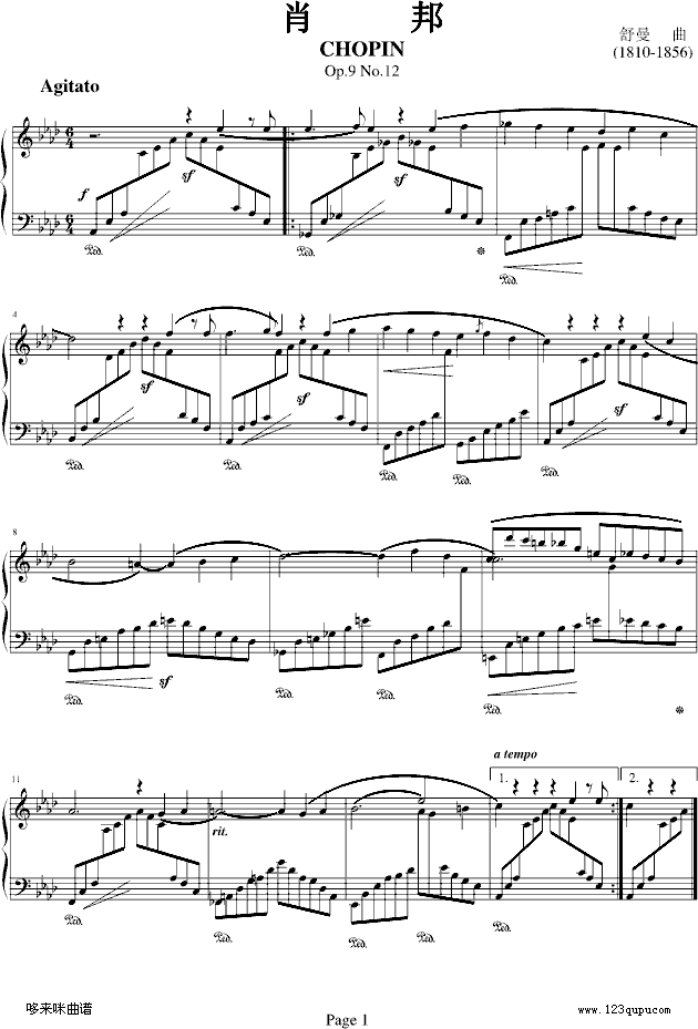 肖邦Op.9 No.12-舒曼1