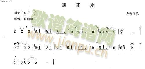割荞麦1