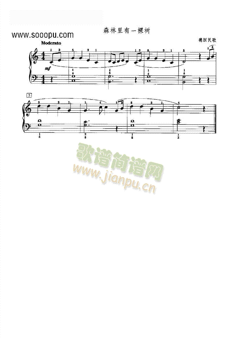 森林里有一棵树 键盘类 钢琴1