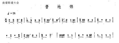 普地锦1