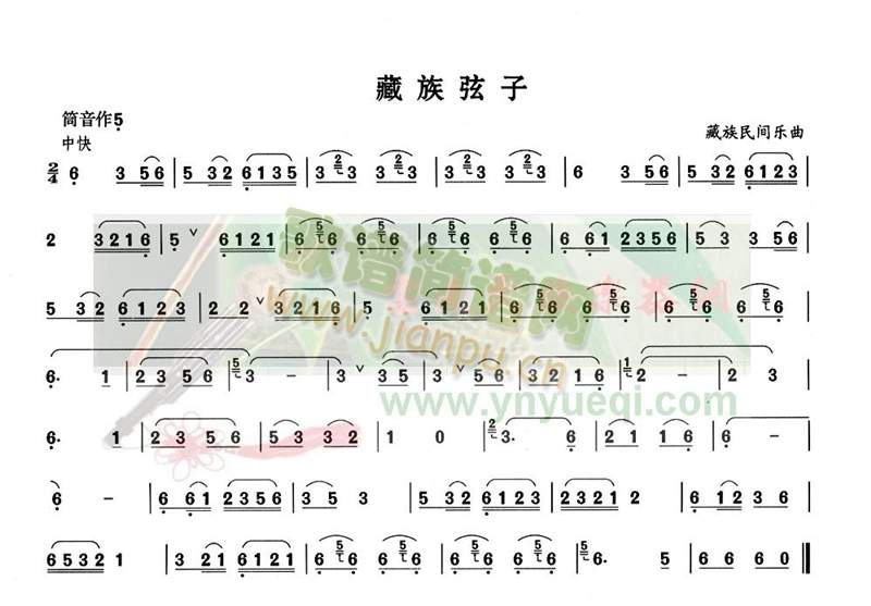 藏族弦子1
