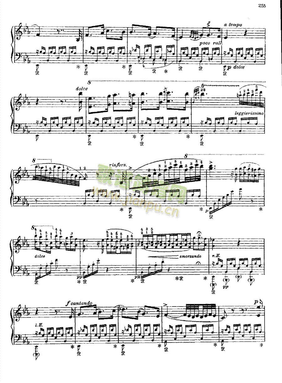 塔兰台拉舞曲 键盘类 钢琴8